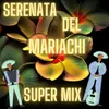 About Super Mix Serenata Del Mariachi Song