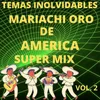 Super Mix Temas Inolvidables, Vol. 2