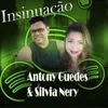 About Insinuação Song
