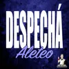 Despechá (Aleteo) - Remix