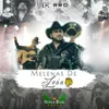 About Melenas De León Song