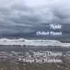 About Noir (Felted Piano) Song