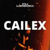About Cailex Song