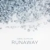 About Runaway (Acoustic Guitar) Song