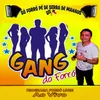 About Leviana - GANG DO FORRÓ Song