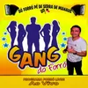 Melô do Ladrão - GANG DO FORRÓ