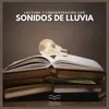 Lectura y Concentración con Sonidos de Lluvia (parte treinta y dos)