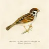 About House Sparrow Song
