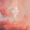 About In Bloom Song