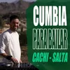 About Reggaeton Del Recuerdo (Cachi, Salta) Song