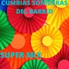 About Super Mix Cumbias Sonideras Del Barrio Song