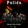 About Pulido Song
