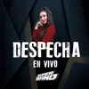 About Despechá - En Vivo Song