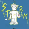 About STORM Song