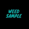About Sample Song