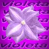 Violeta