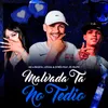About MALVADA TA NO TÉDIO Song