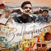 About Ballantines Song