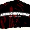 About American Phonk Song