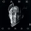About CANE CORSO Song