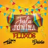 About FESTA JUNINA DOS FLUXOS Song