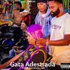 About Gata adestrada Song