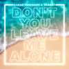 About Don't You Leave Me Alone Song