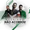 About Pedrinho Não Acordou Song