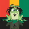 About Reggae Song