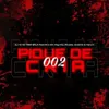 About PIQUE DE CRIA 002 Song