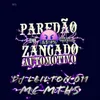 About AUTOMOTIVO PAREDÃO ZANGADO Song