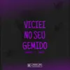 Viciei No Seu Gemido (Speed Up)