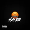 About HATER Song