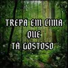 About TREPA EM CIMA QUE TÁ GOSTOSO Song