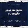About Mega Pra Tropa Do Serrão Song