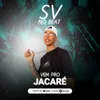 About Vem pro jacaré Song