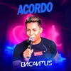 About Acordo Song