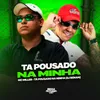 About TÁ POUSADO NA MINHA Song