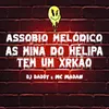About ASSOBIO MELÓDICO - AS MINA DO HÉLIPA TEM UM XRKÃO Song