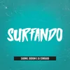 About Surfando Song