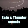 Rain and Thunder Sounds
