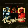 About Vagabundo Song