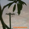 About Comedown Song