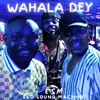 About Wahala Dey Song