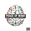 About Peace of Mind Song