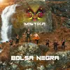 About Bolsa Negra Song