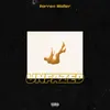 About Unfazed Song