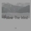 About Follow The Wind Song