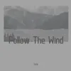 Follow The Wind