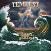 About Tempest Song